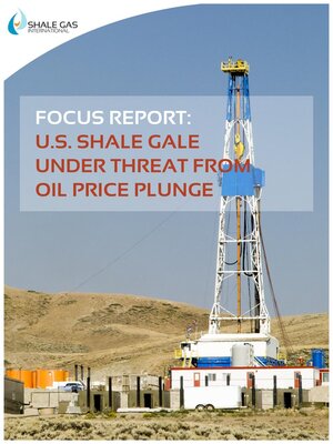 cover image of FOCUS REPORT